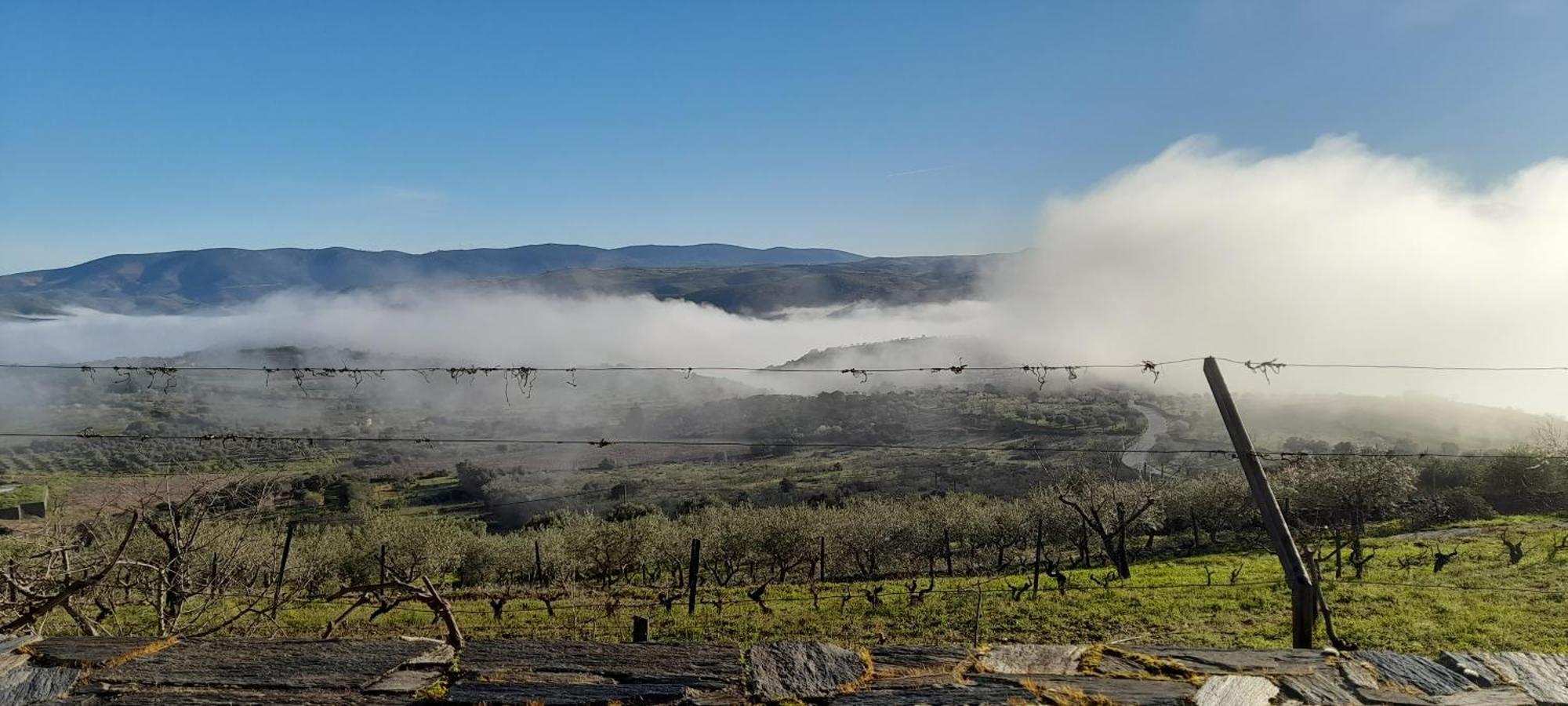 Quinta Alto Da Fraga Villa Vila Nova de Fozcoa Bagian luar foto