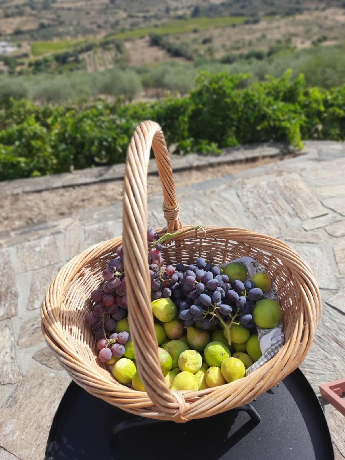 Quinta Alto Da Fraga Villa Vila Nova de Fozcoa Bagian luar foto